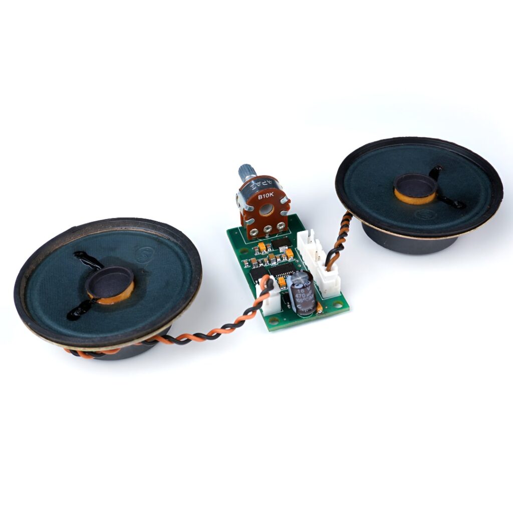 Smart Voice Playback Module